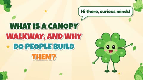 What Is a Canopy Walkway, and Why Do People Build Them?