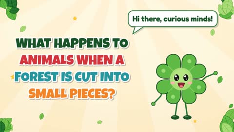 What Happens to Animals When a Forest Is Cut Into Small Pieces?