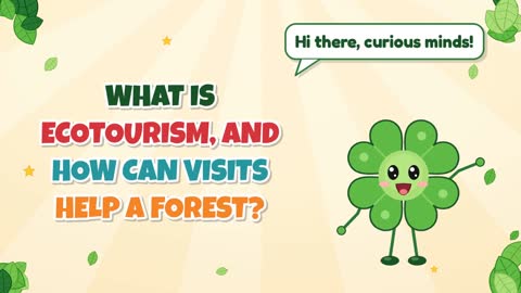 What Is Ecotourism, and How Can Visits Help a Forest?