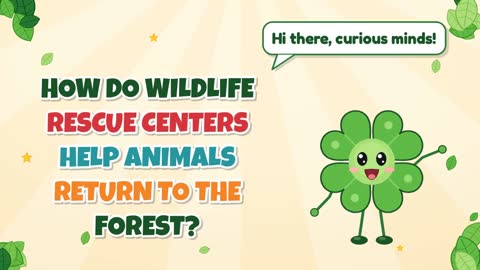 How Do Wildlife Rescue Centers Help Animals Return to the Forest?