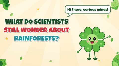 What Do Scientists Still Wonder About Rainforests?