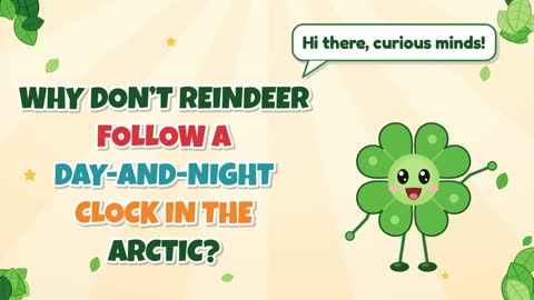 Why Don’t Reindeer Follow a Day-And-Night Clock in the Arctic?