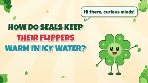 How Do Seals Keep Their Flippers Warm in Icy Water?
