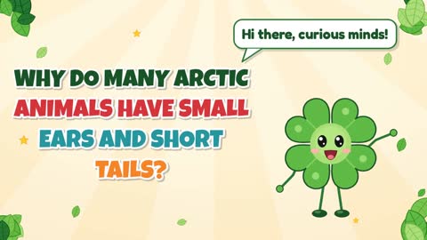 Why Do Many Arctic Animals Have Small Ears and Short Tails?