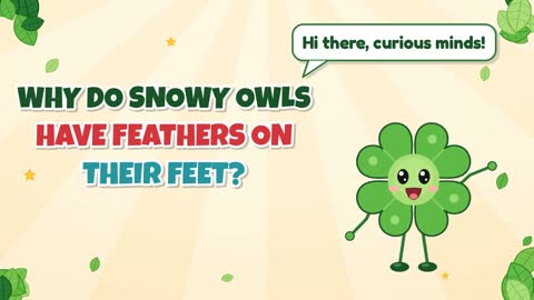 Why Do Snowy Owls Have Feathers on Their Feet?