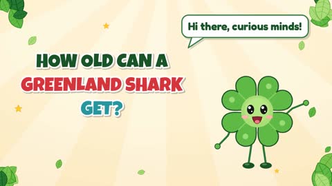 How Old Can a Greenland Shark Get?