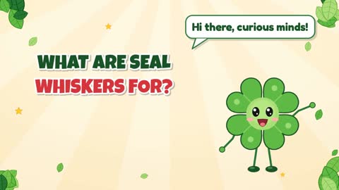 What Are Seal Whiskers For?