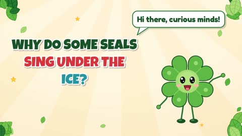 Why Do Some Seals Sing Under the Ice?