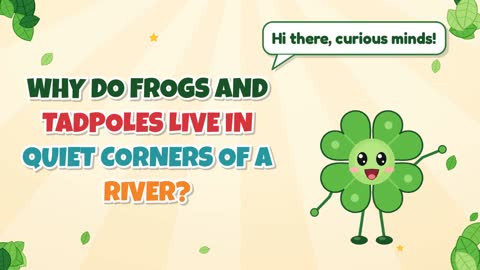 Why Do Frogs and Tadpoles Live in Quiet Corners of a River?
