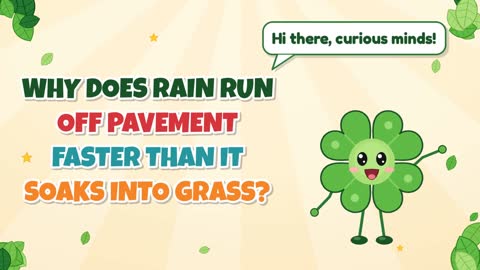 Why Does Rain Run Off Pavement Faster than It Soaks Into Grass?