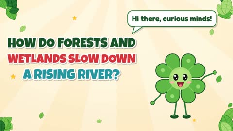How Do Forests and Wetlands Slow Down a Rising River?