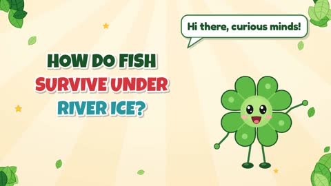 How Do Fish Survive Under River Ice?