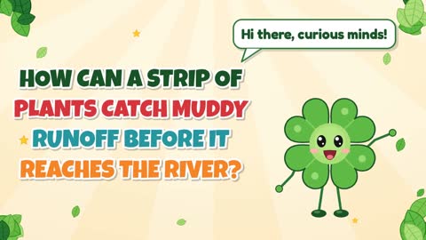 How Can a Strip of Plants Catch Muddy Runoff Before It Reaches the River?