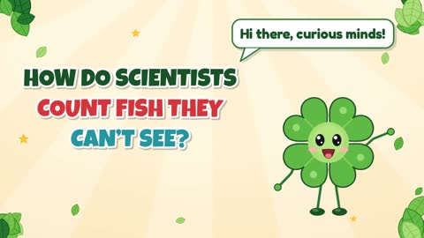 How Do Scientists Count Fish They Can’t See?