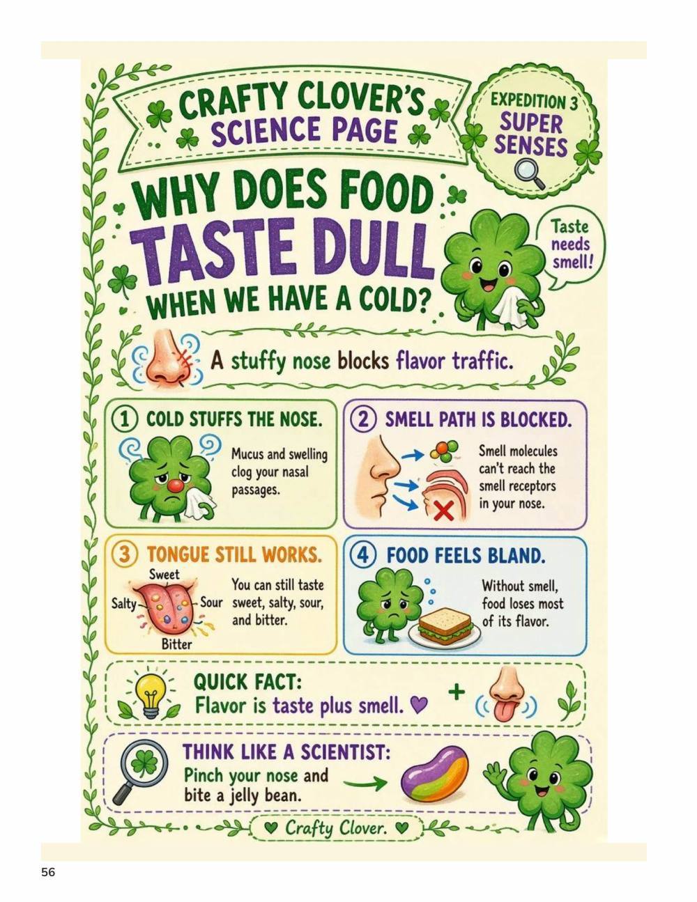 Illustrated page from A Million Whys Book 2 titled Why Does Food Taste Dull When We Have a Cold, with Crafty Clover.
