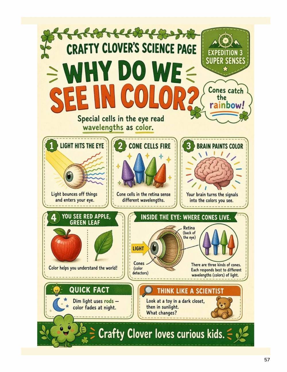 Illustrated page from A Million Whys Book 2 titled Why Do We See in Color, with Crafty Clover.