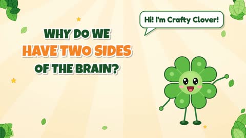 Why Do We Have Two Sides of the Brain?