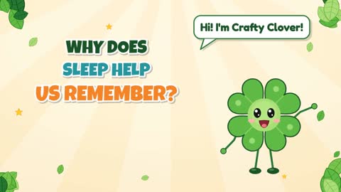 Why Does Sleep Help Us Remember?