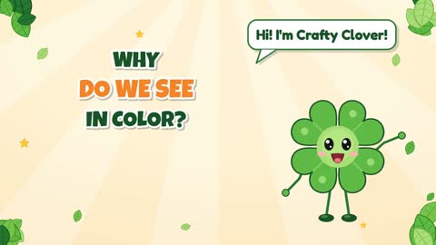 Why Do We See in Color?