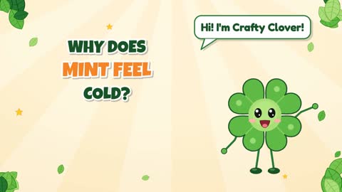 Why Does Mint Feel Cold?