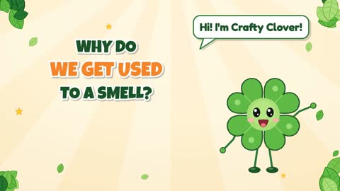 Why Do We Get Used to a Smell?