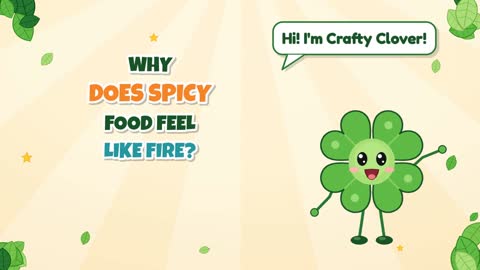 Why Does Spicy Food Feel Like Fire?