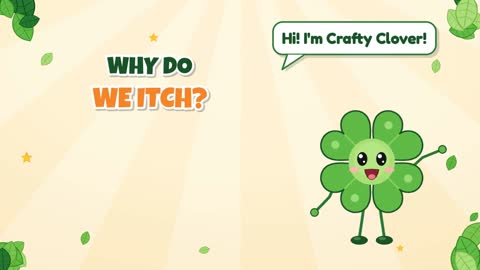 Why Do We Itch?