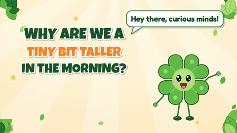 Why Are We a Tiny Bit Taller in the Morning?