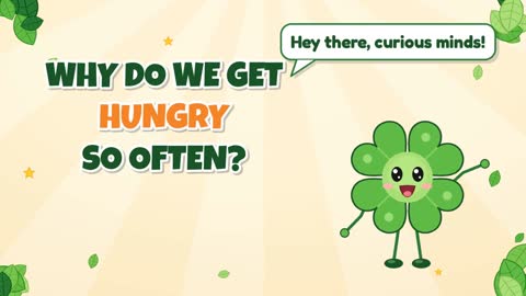 Why Do We Get Hungry So Often?