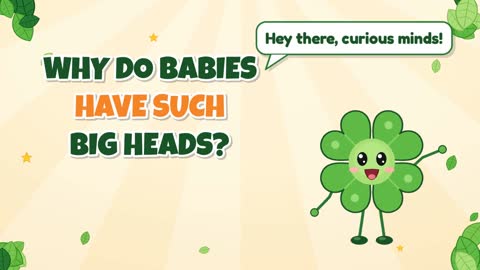 Why Do Babies Have Such Big Heads?