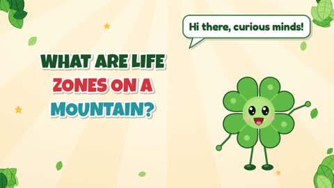 What Are Life Zones on a Mountain?