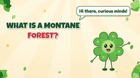 What Is a Montane Forest?