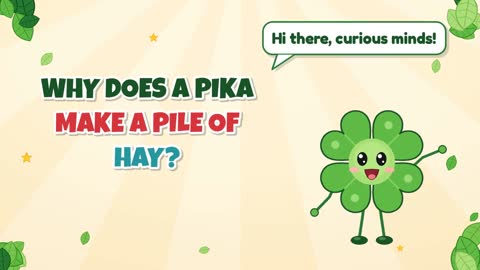 Why Does a Pika Make a Pile of Hay?