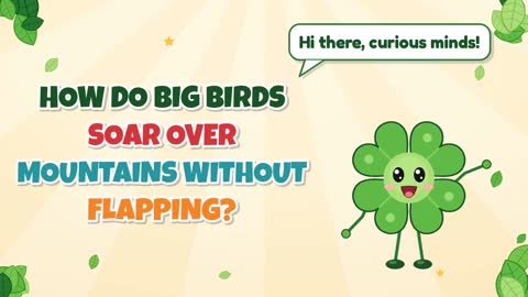 How Do Big Birds Soar Over Mountains Without Flapping?