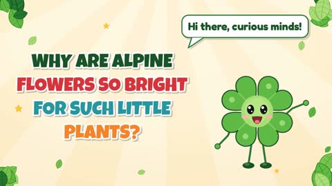 Why Are Alpine Flowers So Bright for Such Little Plants?