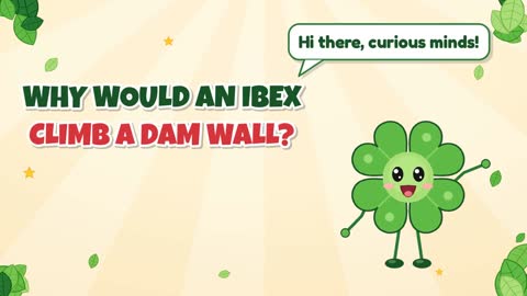 Why Would an Ibex Climb a Dam Wall?