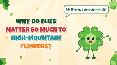 Why Do Flies Matter So Much to High-Mountain Flowers?