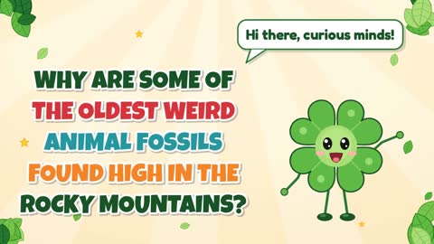 Why Are Some of the Oldest Weird Animal Fossils Found High in the Rocky Mountains?