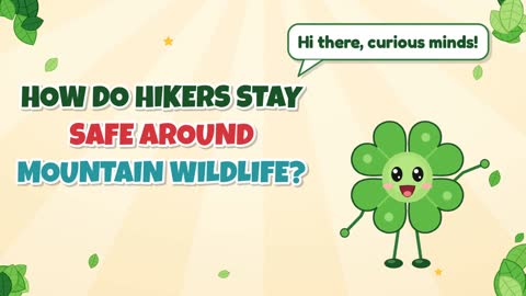 How Do Hikers Stay Safe Around Mountain Wildlife?