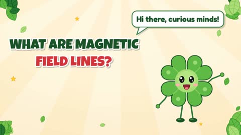 What Are Magnetic Field Lines?