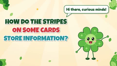 How Do the Stripes on Some Cards Store Information?