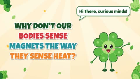 Why Don’t Our Bodies Sense Magnets the Way They Sense Heat?