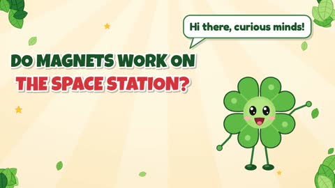 Do Magnets Work on the Space Station?