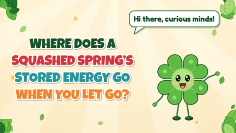 Where Does a Squashed Spring’s Stored Energy Go When You Let Go?