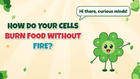 How Do Your Cells Burn Food Without Fire?