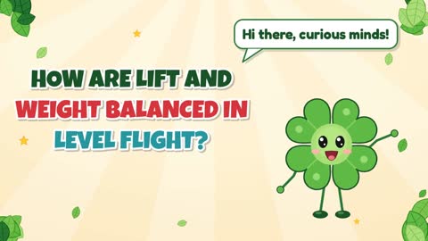 How Are Lift and Weight Balanced in Level Flight?
