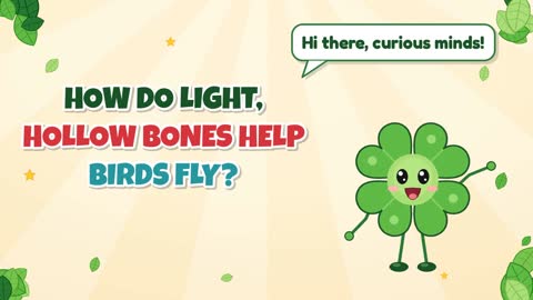 How Do Light, Hollow Bones Help Birds Fly?