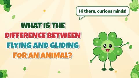 What Is the Difference Between Flying and Gliding for an Animal?