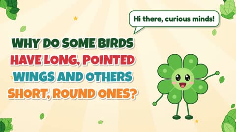 Why Do Some Birds Have Long, Pointed Wings and Others Short, Round Ones?