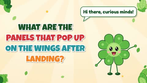 What Are the Panels That Pop Up on the Wings After Landing?